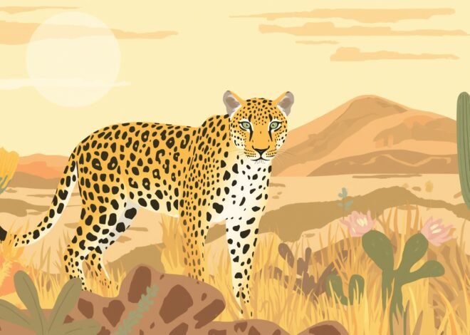 A Rare Jaguar Reappears in Arizona, Signaling Hope for Endangered Species